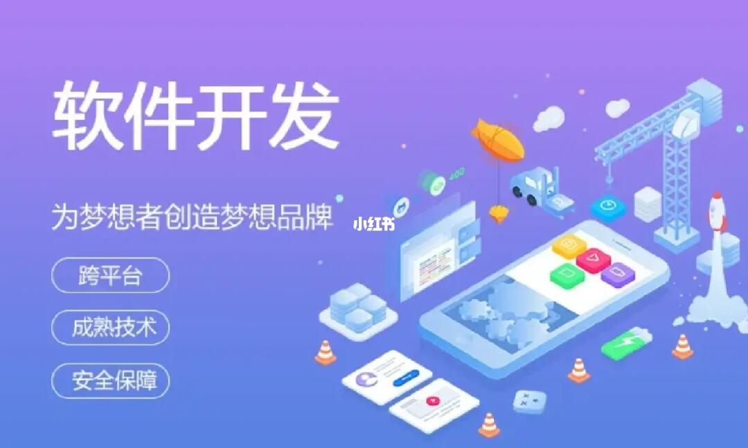 軟件開發(fā)與軟件定制 從概念到實踐