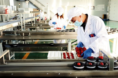 鄂爾多斯 建設農副產品電商服務中心，賦能養生保健服務新生態